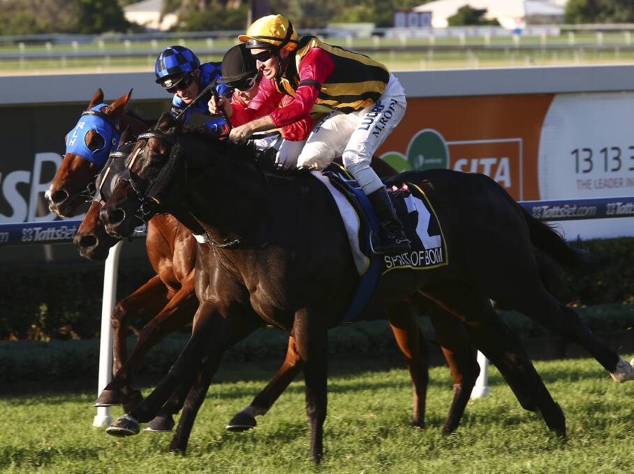 Spirit of Boom wins at Doomben in May 2014. His only yearling at the Capricorn Yearling Sale – a filly from Molly’s Fault – is expected to be the centrepiece of attention. Photo - Tertius Pickard.