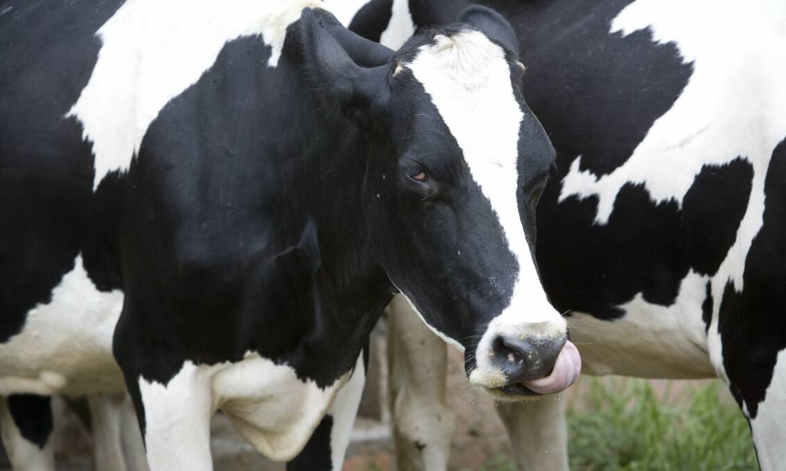Agricultural land vital for dairy