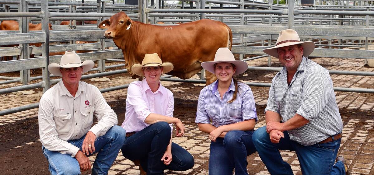 Vendors Kevin and Leesa Woolcock, Mostyndale Droughtmasters, buyer Paul Laycock and daughter, Stephanie, with the top priced heifer.