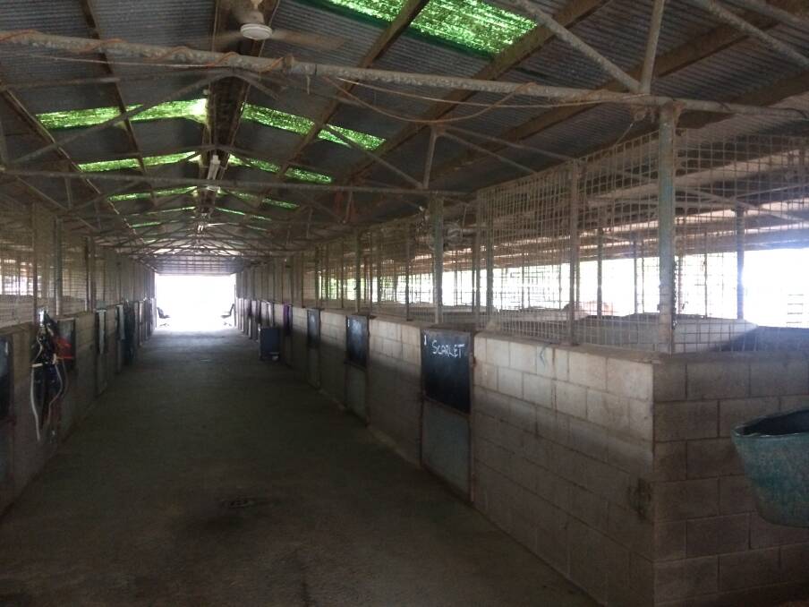 The on-course stable barn at Callaghan Park, Rockhampton provides positives including cash flow and a solid horse population to maintain good sized fields.