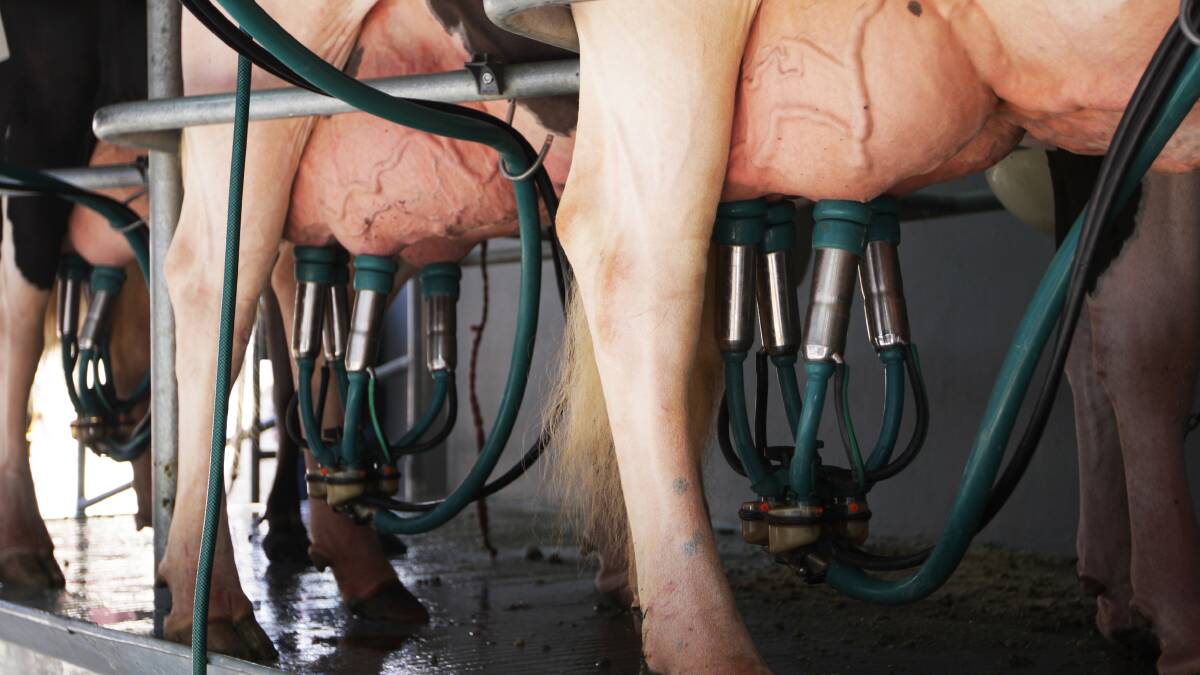 Milk producers fear milk price shakeup