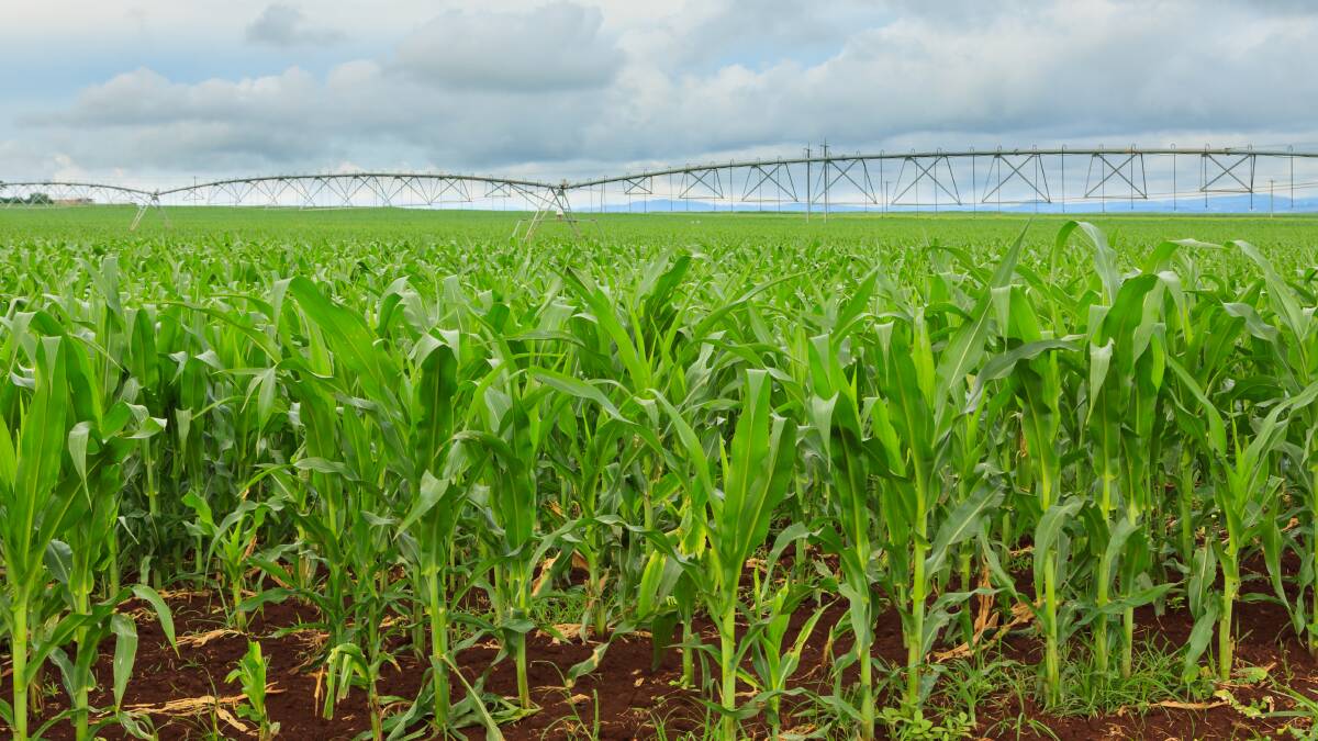 Water efficiency funds to help growers