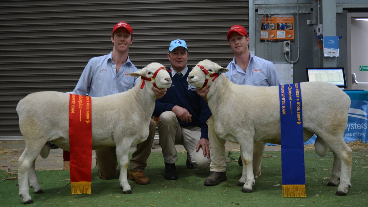 James Gilmore holding the reserve champion Australian White ram, judge Danny Teskera, Roslynmead West stud, Echuca, and Ross Gilmore with the champion Australian White ram. 