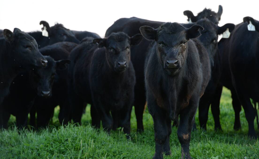Cattle and sheep join home loans as a financing battleground