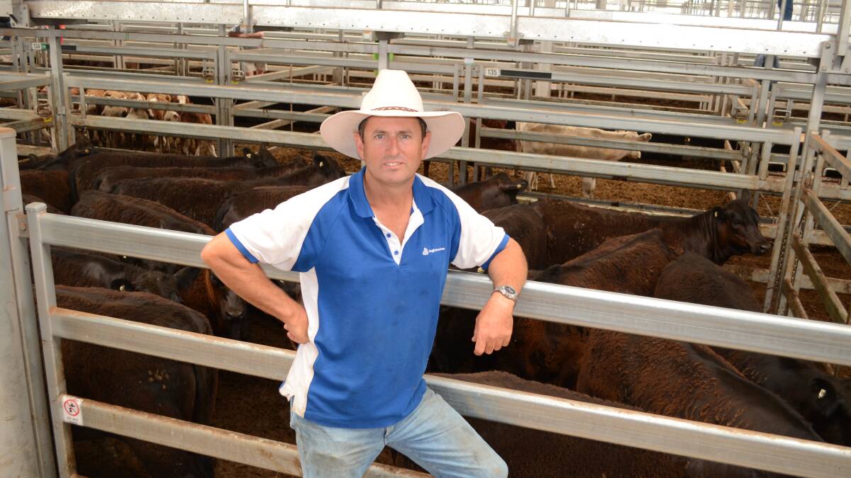Chris Wallis, ''Callemondah'', Moyuh, Victoria purchases Angus heifers to $1020. 