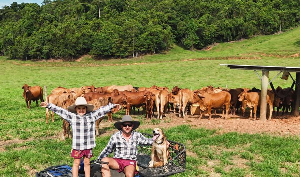Cassowary Coast cattle producer Adrian Azzopardi alongside his son, Jacko, with their Droughtmaster cattle on their property near Kurrimine. Picture supplied by Bay Hill Beef 