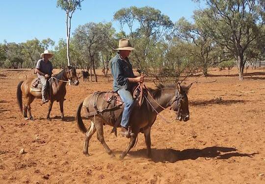 Ian Campbell heads out mustering on his mule Dorrito followed by ringer Kye Willis on Squirrel.