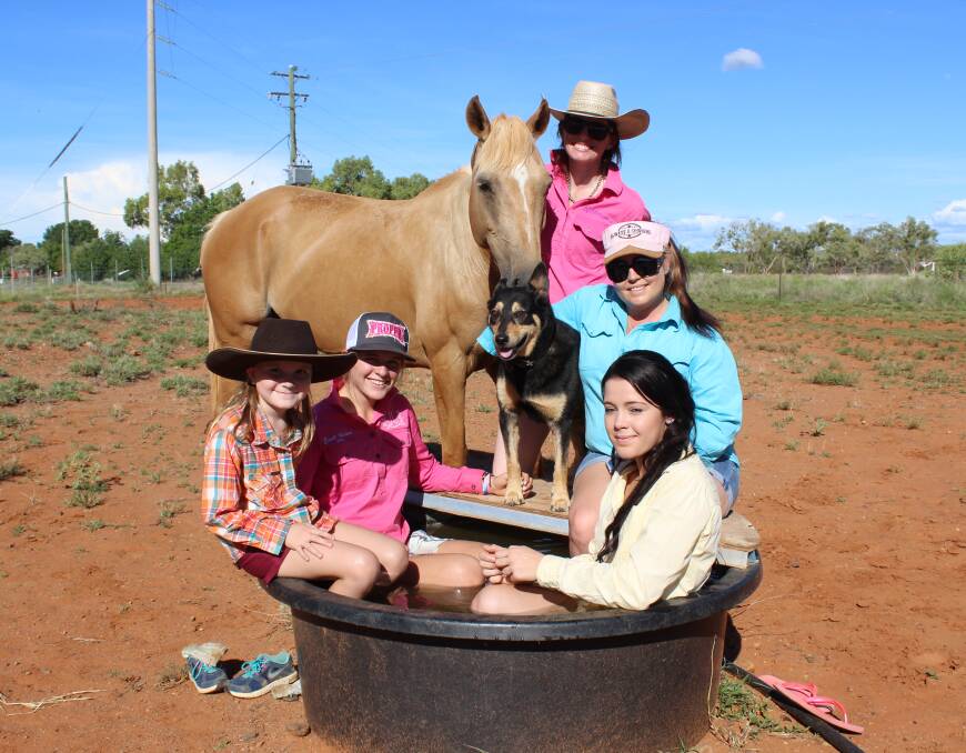 REFRESHING: Locals in Cloncurry cool off in a water trough on the outskirts of town. Photo: Samantha Walton.