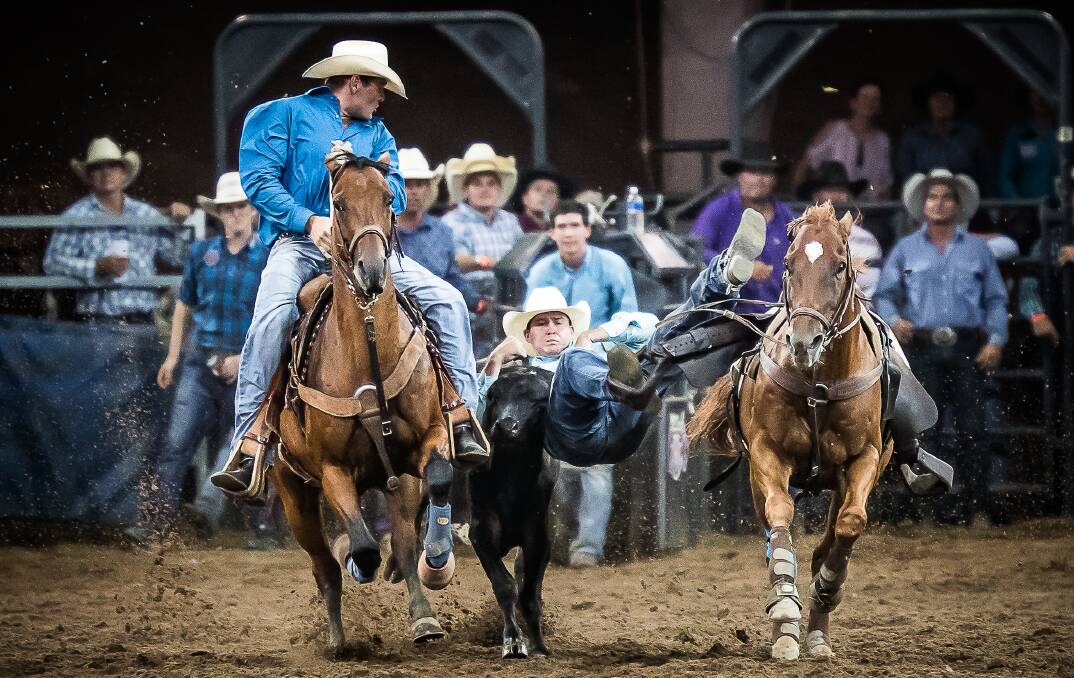 Winner: Ryley Gibb claims the Australian Bushman’s Campdraft and Rodeo (ABCRA) Steer Wrestling Championship in Tamworth. Photo: Stephen Mowbray Photography.