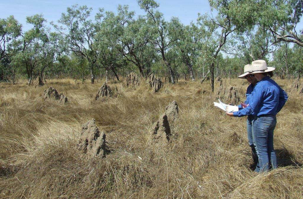 ELECTION: Producers benefit from pasture monitoring programs through Southern Gulf NRM. Photo supplied.