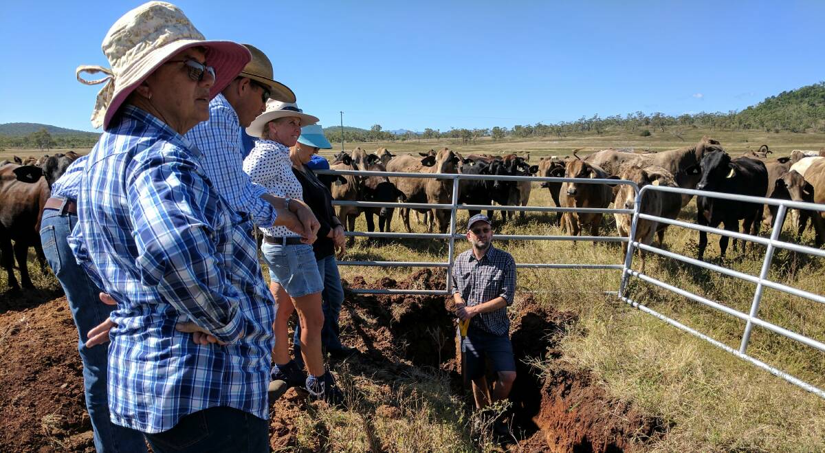 Graziers in Bowen discuss soil health on a local grazing property.