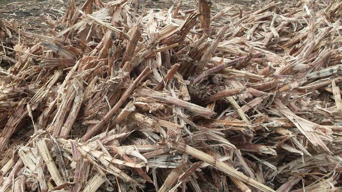 Funding for sugarcane waste bioproducts