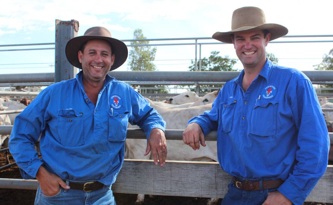 MARKET: Troy Sabin and Jared Bliesner from Stockland Transport, Townsville, enjoyed a morning at the Dalrymple Sale Yards. Photo: Samantha Walton.