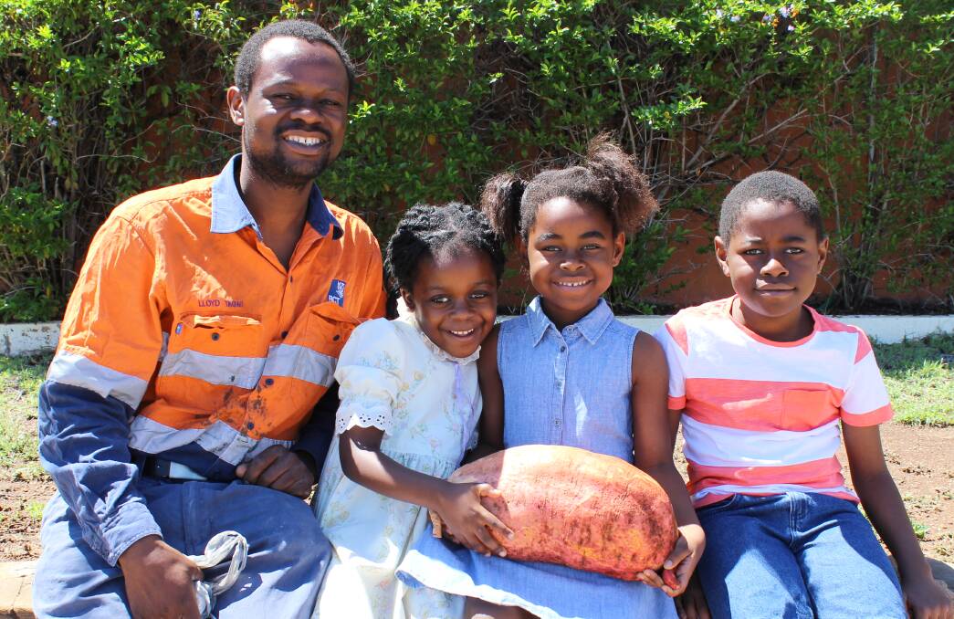 TOO SWEET: Lloyd Tagwi and his children Charmaine, Ruvarashe and Kudzaishe featured with their 6kg sweet potato. Photo: Samantha Walton.