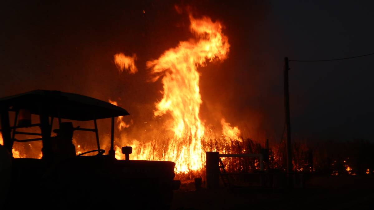 First Cane Fire of the Season to light up the night