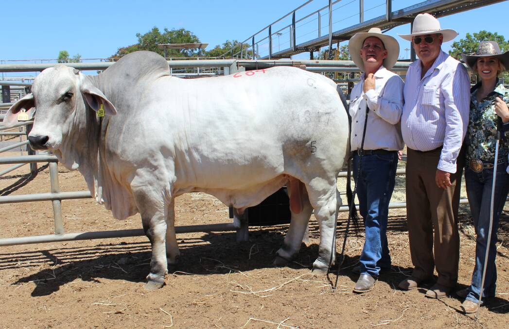 Lawson Camm sold Cambil Hawkins 4817 to Peter Camm for $94,000 in support of Miss Rodeo Australia Emma Deicke.