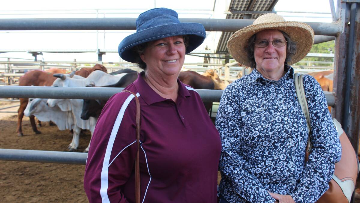 SALE: Therese Lymer, Eton Grove, Charters Towers and Julie Bramley, Charters Towers were looking to buy cattle at Dalrymple Saleyards. Photo: Samantha Walton.