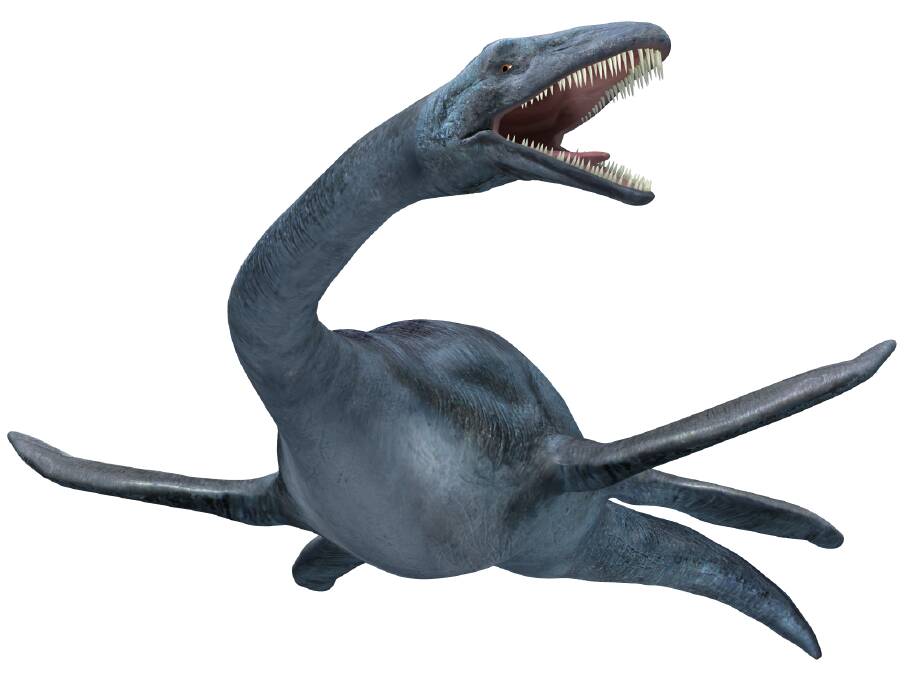 What an Elasmosaurus is believed to have looked like.