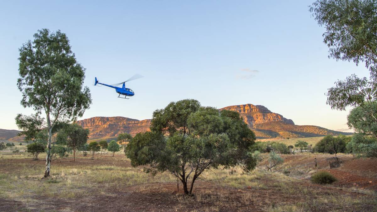 STUNNING VIEWS: A helicopter takes tourists across the station and the neighbouring national park.