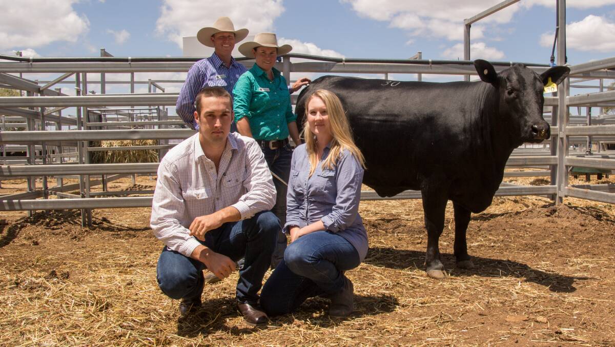 Top price: Siblings Stephen Pearce and Fiona Pearce, Telpara Hills Brangus, with buyers Lachlan and Maddi Brown, Gracemere, with top-selling Telpara Hills Miss Final Cut 920J22. Picture: Kerrie Sagnol.