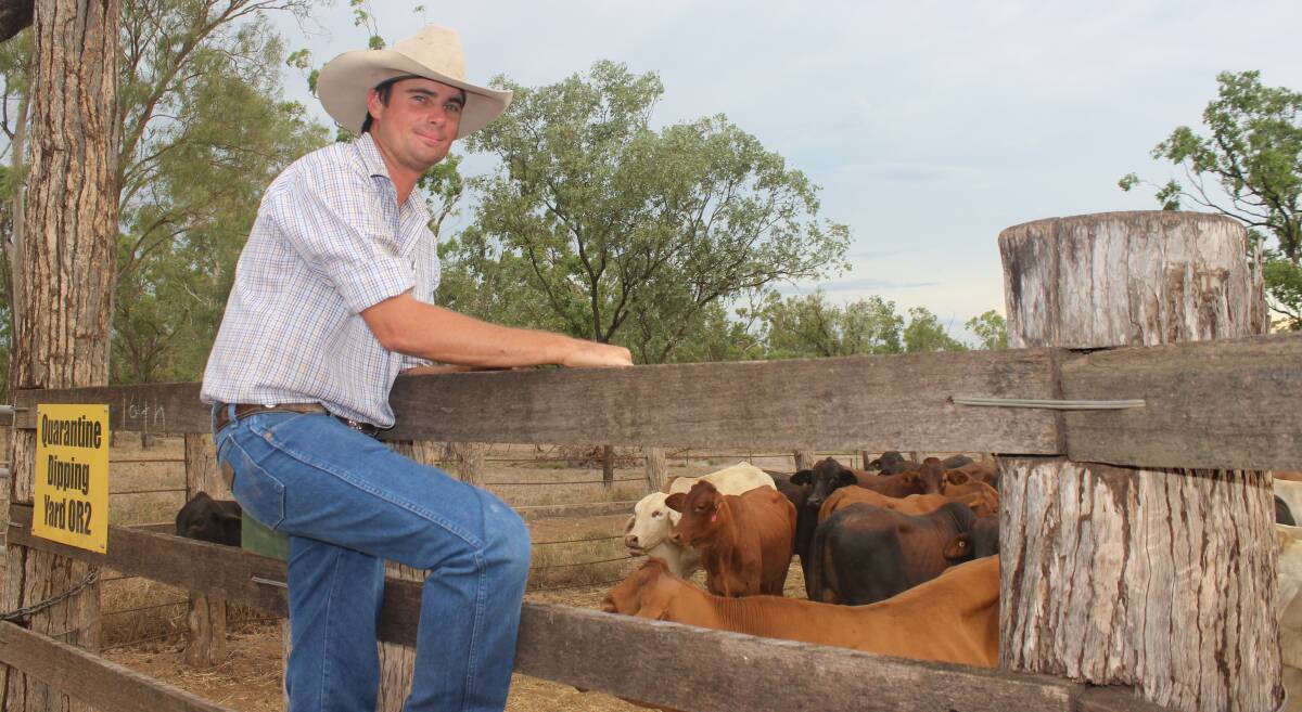Creating a buzz: Shannon Coombs is adding a bit of competition to the Gracemere saleyards. Picture: Inga Stünzner