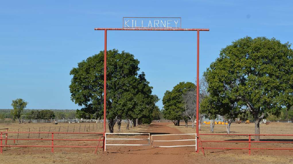 Killarney Cattle Station. Picture: Supplied.