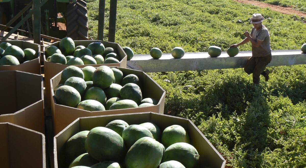 Melons secure leadership funding
