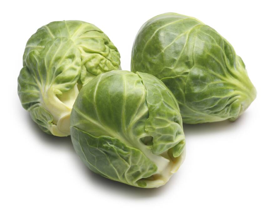IN FAVOUR: Australian Brussels sprouts have found favour overseas but are also tracking well with local consumers.