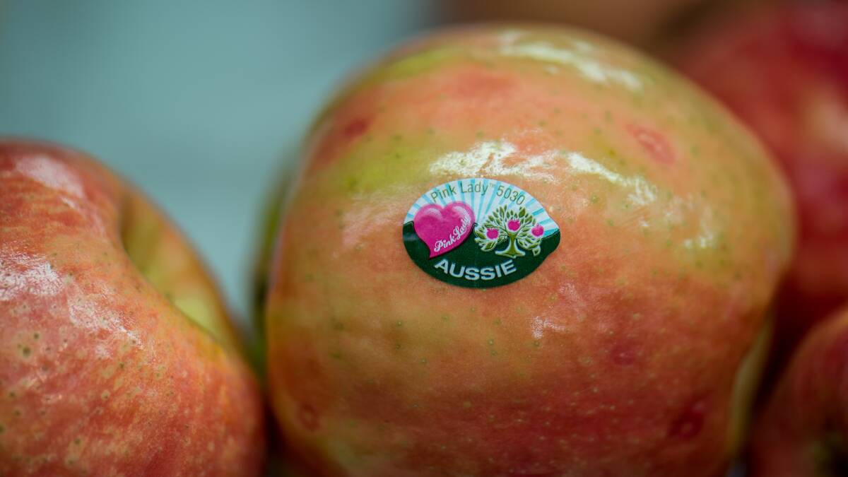 OUR OWN: While a global success story, all use of the Pink Lady trademarks in Chile on Chilean-grown apples must now be licensed by APAL, including where apples are exported from Chile, following a High Court of Australia ruling.