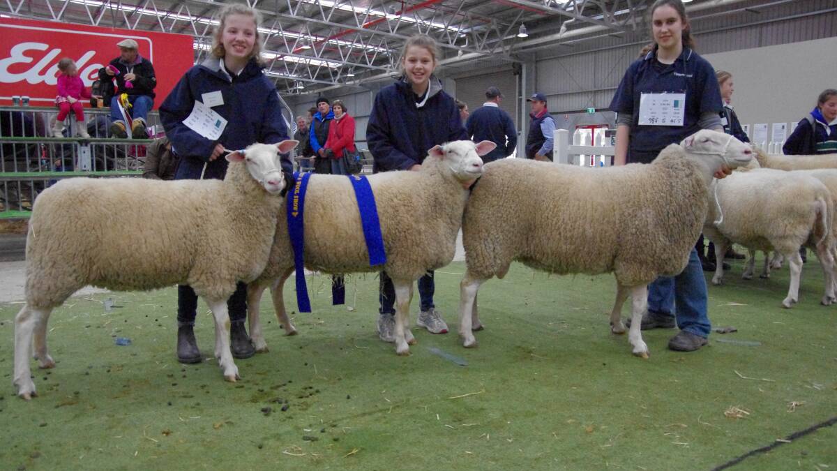 Tintern Grammar students Freya Byson, Chelsea Regan and Maya Watt holding the two ewes and one ram awarded Grand Champion, Group of Three, East Friesian.
