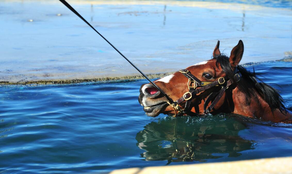 Mackay had to finance repairs of the club’s equine swimming pool at a cost of $46,000 when Racing Queensland refused.