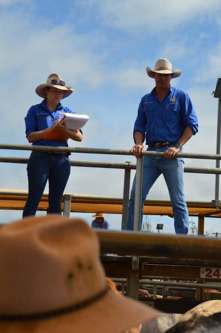 Steers over 550kg sold to 280c/kg at the March 15 Roma prime sale where 1290 head of cattle were yarded.