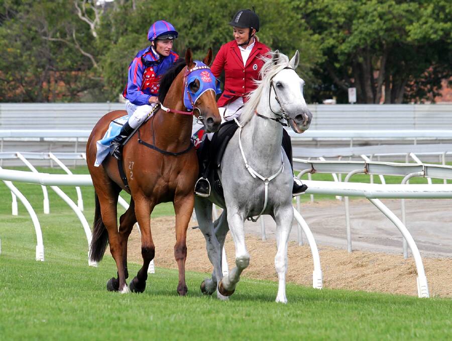Racing Queensland said the ALP commitment would fully fund the cost of Country non-TAB thoroughbred racing for Queensland.