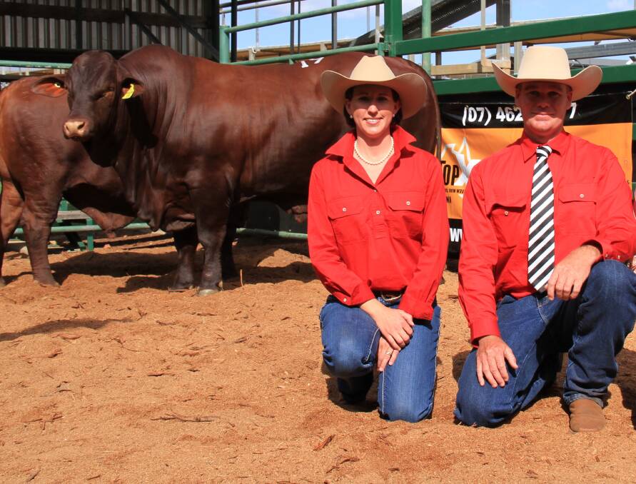 Kasey and Daniel Phillips, Murgona Santa Gertrudis Stud, Wandoan, Qld. "We target the western market and our clients want cattle that can travel large distances."