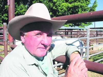 Jim Matthews is well known around the ridges as a stock agent and auctioneer of the old school, when contracts were signed with the shake of a hand. He began his foray into the Northern Territory in 1975 when he was invited to holiday at Brunette Downs.