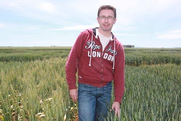 Samuel Gaste, a French-based breeder with RAGT, points out the difference between Australian and French wheats, with the French wheats shorter and more compact.