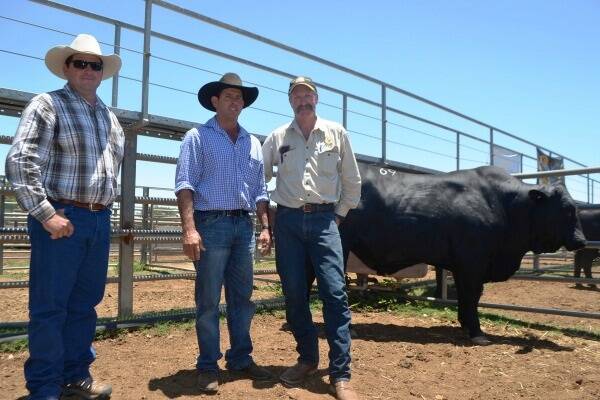 Ross and Matthew Makeering, Forrester Grazing, Alpha, purchased the equal top price bull of the sale, paying $6500 for Lot 69, Jett 46 G43, presented by Mark (pictured) and Donna Reid, Jett Brangus, Paeroma, Emerald. The Makeering’s said they had been drawn to the 26 month-old bull due to his excellent all-round attributes but in particular his great temperament and weight for age.