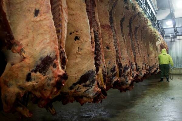 A trusted source in the meat processing sector said processors are at the sharp end of market access and the pricing of cattle reflected the available supply and price signals received from the market.