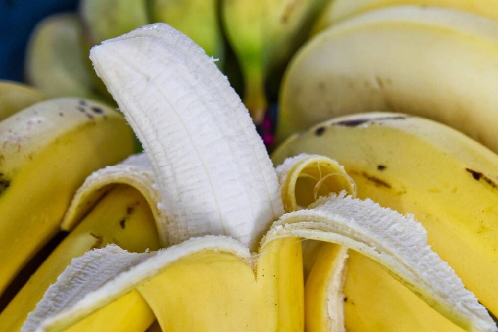 Market access for cyclone-hit bananas