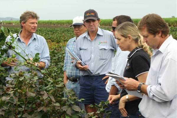 Stephen Yeates, Senior Research Scientist, CSIRO, is working on a long term project to evaluate cotton in the Burdekin, as a rotation crop for cane growers. He led a group through a field walk and discussion in May last year.