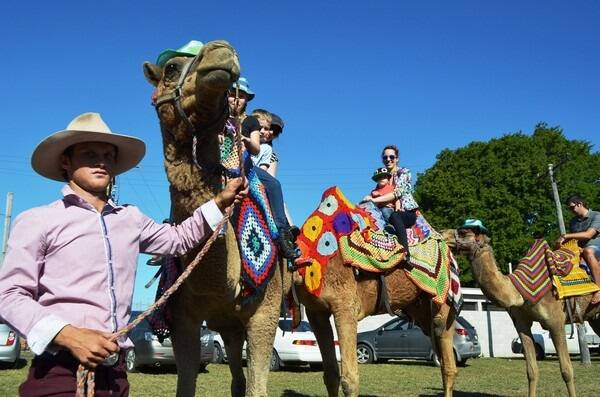 All who entered the Ayr Showgrounds for the 2014 Burdekin Show had a great time.