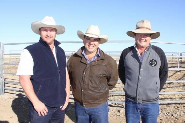 Sponsors of the 2014 Richmond Beef Challenge Cameron Liddle, Liddle and Sons, Matt Bekker, Novus Nutrition and Morris Shephard, Rural Supplements, came out for the first weigh in after the cattle were put in the paddock.