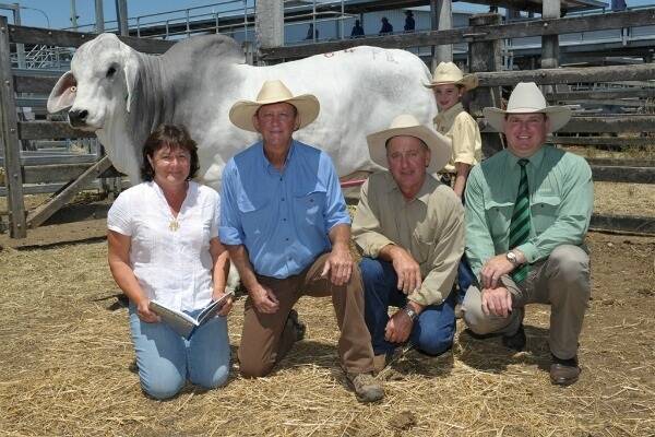 At the 2013 Rockhampton Brahman Week Sale a top price of $72,000 for FBC El Toro Manso was Julie and Don Hurrell, HH Park Grey Brahman stud, Gympie with vendor Tony Fenech and granddaughter Rory Fenech, Fenech Brahmans, Wowan, with selling agent Mark Scholes, Landmark. Photo: Rodney Green.