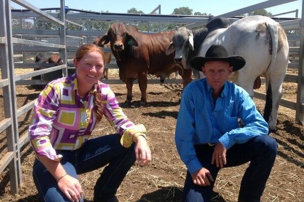 Charles Darwin University representatives Jessica Beckhouse and Troy Johnson brought two bulls for a total of $13 000.