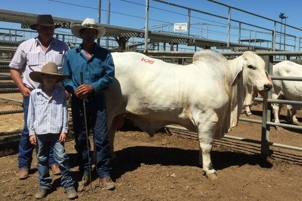 Ken Roche, bidding on behalf of a partnership between Bill Blakeney, Warraka Brahman Stud, and Royce Sommerfeld, Brahrock Brahman stud purchased the top price bull so far on day two of the Big Country Brahman Sale in Lot 108 Lanes Creek Marocco Manso 1449 (AI) (ET) (H) for $62,500. He is pictured with vendor Brian Hughes, Lanes Creek Brahmans,Georgetown, and Brian’s son. 