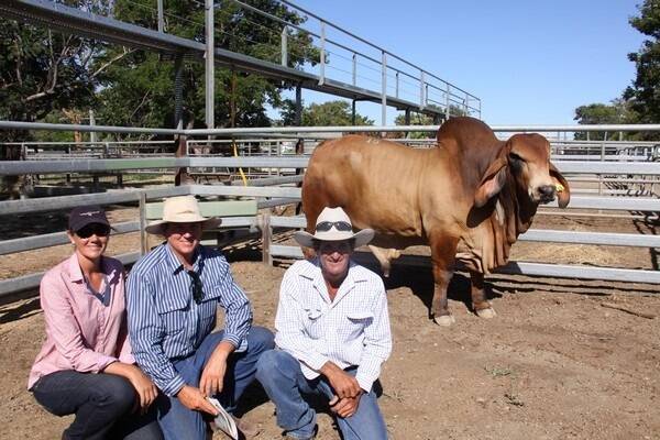 The Big Country Brahman Sale has been heralded by vendors and agents as a great success.