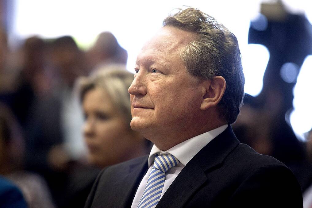 Andrew 'Twiggy' Forrest, Fortescue Metal Group CEO.