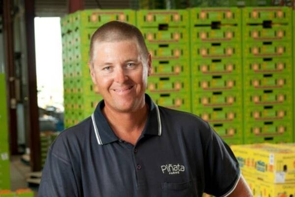 AMIA Chairman Gavin Scurr said mangoes and bananas are Australia’s largest intensive horticultural industries, valued at over $600 million a year. He said if the research project is successful, it will guide the uptake of these management practices into other horticultural industries.