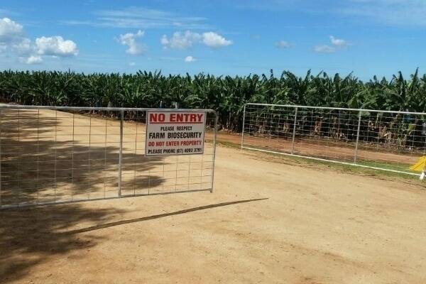 The Tully farm remains under the quarantine restrictions introduced last week.