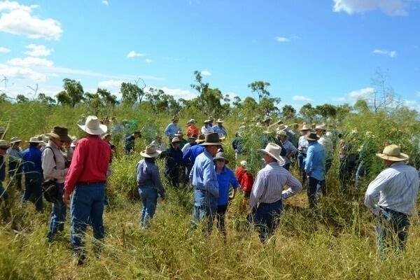 Visitors got a chance to see the early results of a gully rehabilitation project using herd impact.